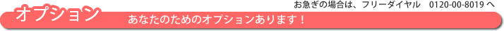 あなたのためのオプションあります